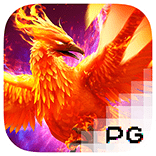 phoenix rise pg